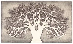 Reifen wie ein Baum, etching/aquatint, 42×28 cm, 2015 Reifen wie ein Baum, etching/aquatint, 42x28 cm, 2015