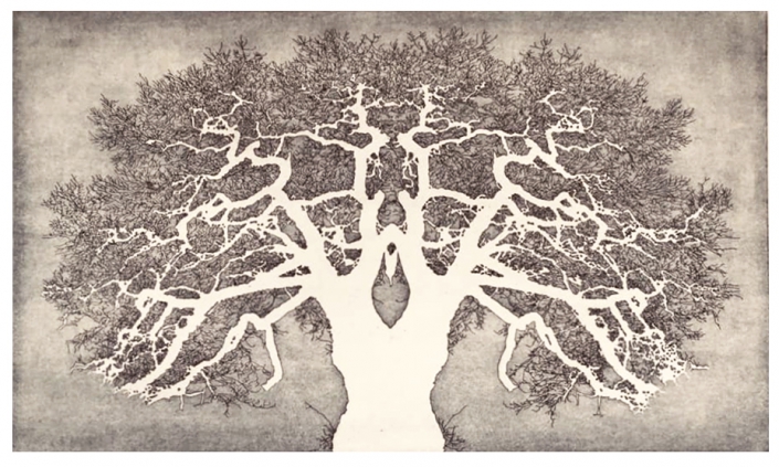 Reifen wie ein Baum, etching/aquatint, 42×28 cm, 2015 Reifen wie ein Baum, etching/aquatint, 42x28 cm, 2015