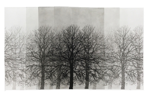 treeeeees, etching, 25×41 cm, 2019 treeeeees, etching, 25x41 cm, 2019
