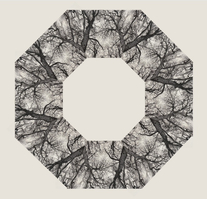 IMG_9265hex